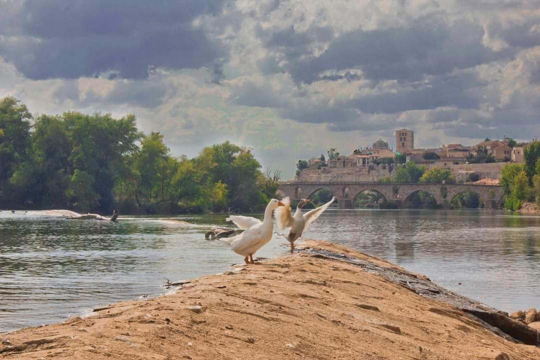 A Los Ojos Del Rio Duero Zamora Buitenkant foto