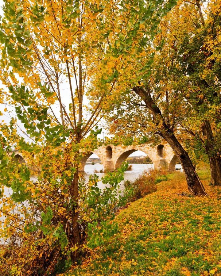 A Los Ojos Del Rio Duero Zamora Buitenkant foto