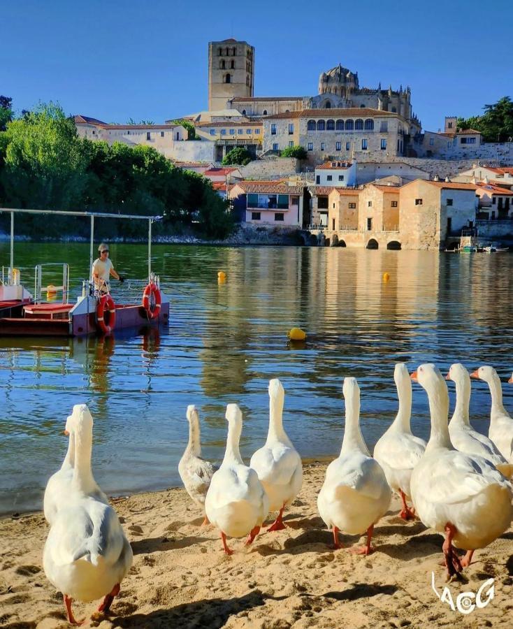 A Los Ojos Del Rio Duero Zamora Buitenkant foto