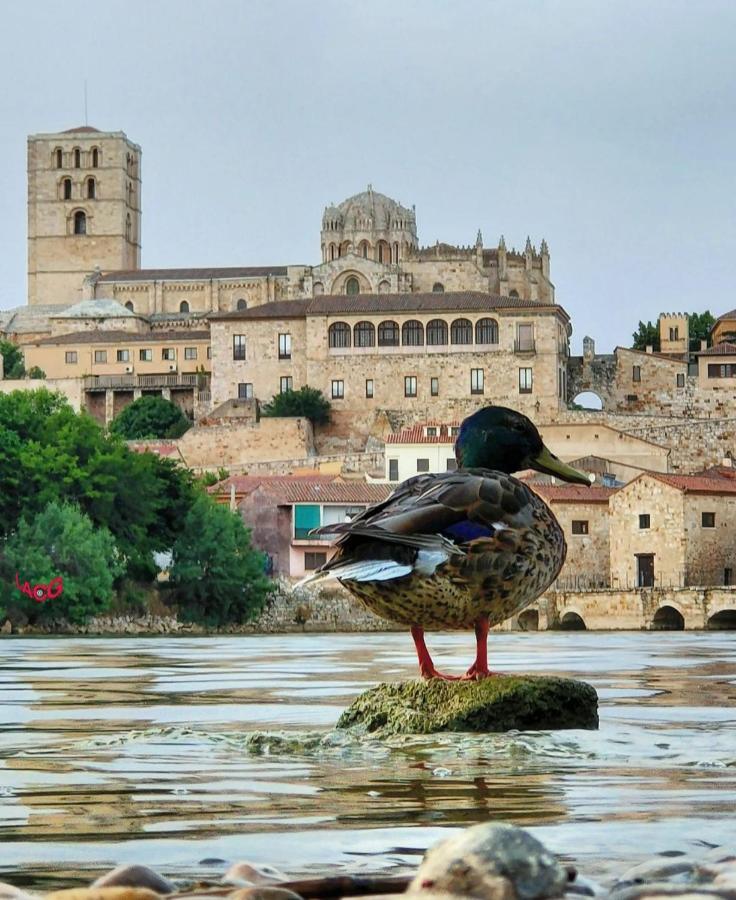 A Los Ojos Del Rio Duero Zamora Buitenkant foto